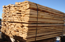 Fence Slab Bundle